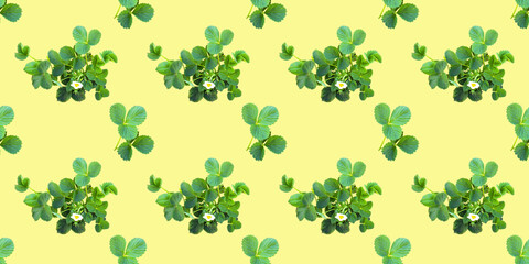 Beautiful seamless pattern with strawberry bush, can be used as packaging for fruit.