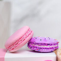 Pink and Purple Macarons