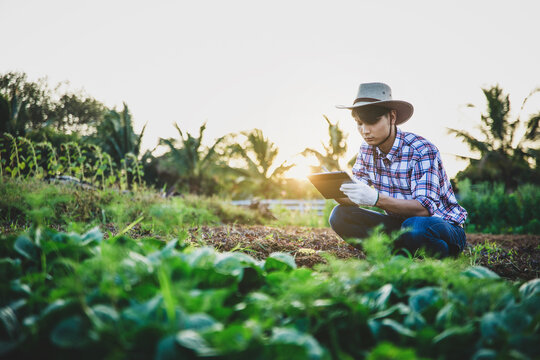 farmer checks data quality in his farmland using digital tablet