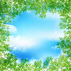 新緑　葉　春　背景
