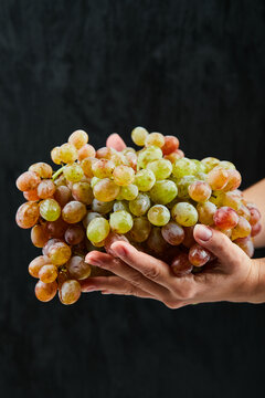 Fresh Red Grapes In Hand On Black Background