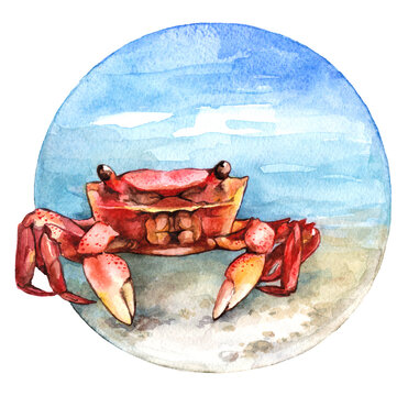 Watercolor red crab on the beach. Hand painted illustration in circle isolated on white background.