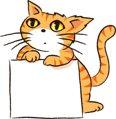 vector cartoon cat hold blank paper card background
