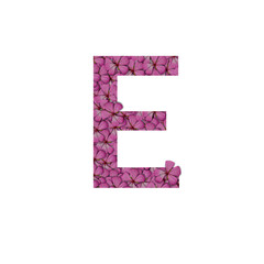 Letter E of the alphabet with photography of pink flowers. Letter E made from flowers isolated on white Photo. Alphabet symbols with flowers texture pattern