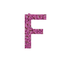 Letter F of the alphabet with photography of pink flowers. Letter F made from flowers isolated on white Photo. Alphabet symbols with flowers texture pattern