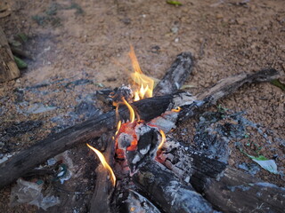Build a bonfire to keep warm in winter.