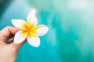Beautiful plumeria flower in girl hand ove blurred blue water background, spring and summer season...