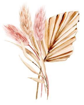 Dried Flowers Watercolor Drawing. Pampas Grass, Tropical Palm Leaves, Wildflowers.	