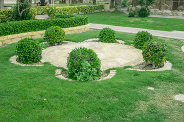 Fototapeta na wymiar Garden landscape, Garden landscape design with plants,