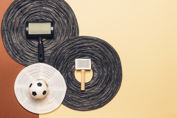 Creative composition with pet toys and accessories on color background