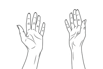  Women's hands. Vector stock illustration eps10. Isolate on white background