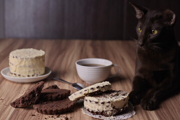 Cat next to the cupcake pieces on the table