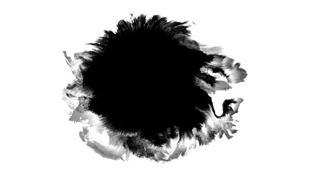 Ink Drops Transition on Black Background 4k Footage Ink Footage Transition White Ink Drops Falling on Black Background
