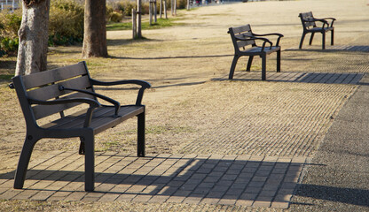 bench in the park