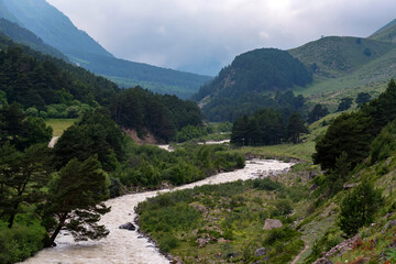 Beautiful view of narrow mountain river in summer