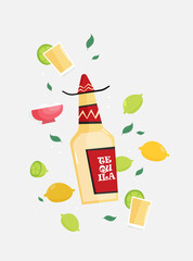 Tequila bottle, salt, lemon. Flat vector.