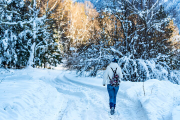 Young female hiker in winter mountain wood