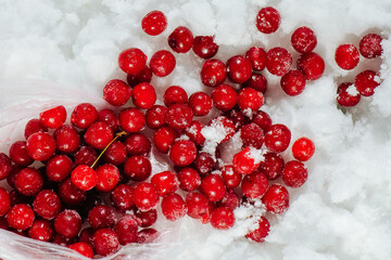 Fallen out frozen cherries spilled on a grinded ice. top view. vibrant red color over white in contrast.