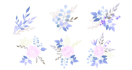 Pink rose with silver dollar tree leaves. Flower set. Vector illustration.