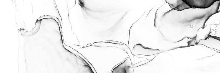 Sketch Backdrop.  Closeup Greyscale Design. Gray