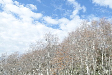 Obraz na płótnie Canvas 晴れた冬の山頂と空