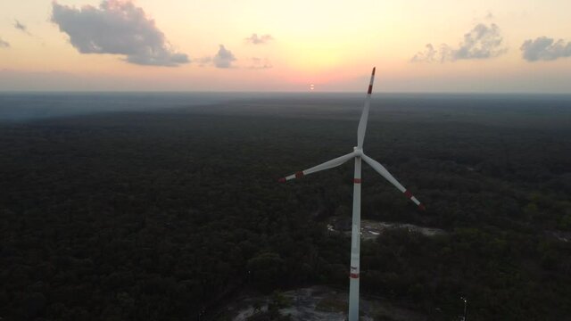 Wind turbines inside Canc&uacute;n forest at sunset