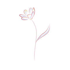 Digital abstract line art flower clip art isolated on white background. Pink, yellow and light blue poppy outline illustration. Botanical design element.