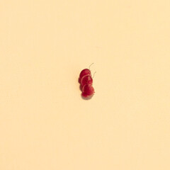 Fresh summer raspberries on a light yellow background, good photo for advertising or background