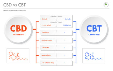 CBD vs CBT, Cannabidiol vs Cannabitriol horizontal business infographic illustration about cannabis as herbal alternative medicine and chemical therapy, healthcare and medical vector.