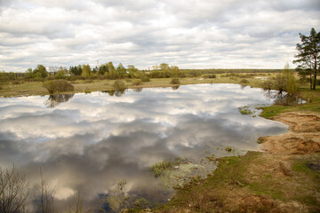 lake in the forest