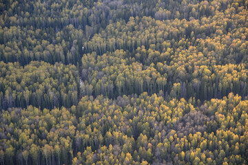 autumn in the mountains