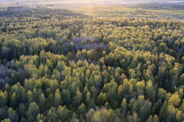 landscape in the mountains