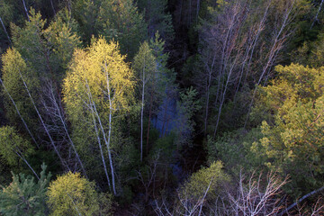 autumn in the mountains