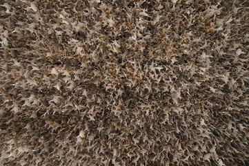 The natural pattern background pattern is an arrangement of gold metal objects. 