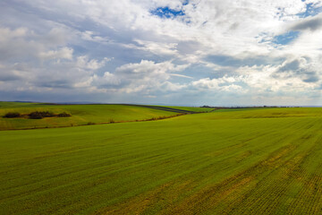 Obraz premium Aerial view of bright green agricultural field in early spring.