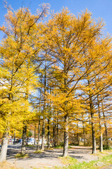 A ropeway leads up to the top of Haruna Fuji, from where one can look out over the surrounding landscape.