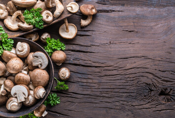 Different brown colored edible mushrooms on wooden table with herbs. Top view.