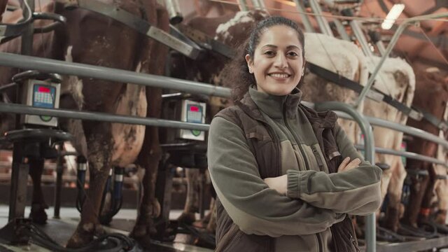 Medium POV of Mixed-Race female farmer, standing near rotating carousel milking parlor with cows on it, looking up and smiling on camera, crossing arms over chest