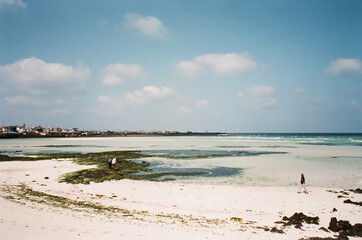 sea in jeju island