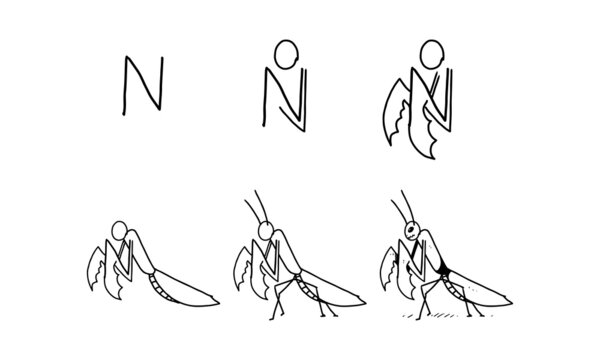 how to draw a cute mantis from N step by step. easy and fun activity for kids development and creativity. tutorial of drawing animal and object from alphabet series in vector illustration. 