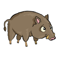 Hog Friendly Cute forest animal Cartoon. Vector illustration