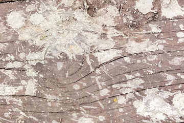 Fototapeta premium Drops and splashes from concrete on a wooden board