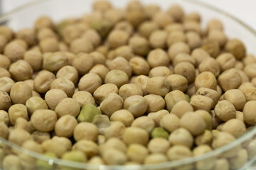 Soy seeds in a petri dish in the lab