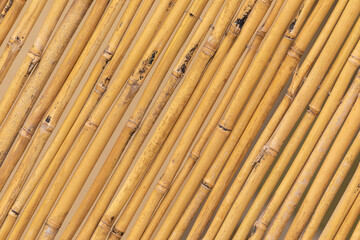 The dry bamboo diagonal background