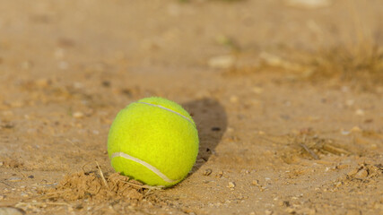 Losted tennis ball
