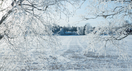 Wintry landscape with snow and frost
