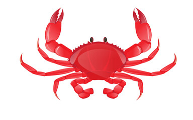 Red crab, sea creature. Colorful cartoon character.