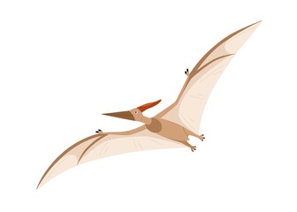Flying pterosaur or pterodactyl dino. Extinct dinosaur of ancient jurassic period. Prehistorical character. Colored flat cartoon vector illustration isolated on white background © Good Studio