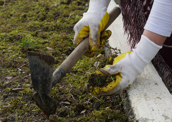close up of woman hands gardening