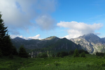 Ammergebirge Geis am Berg 